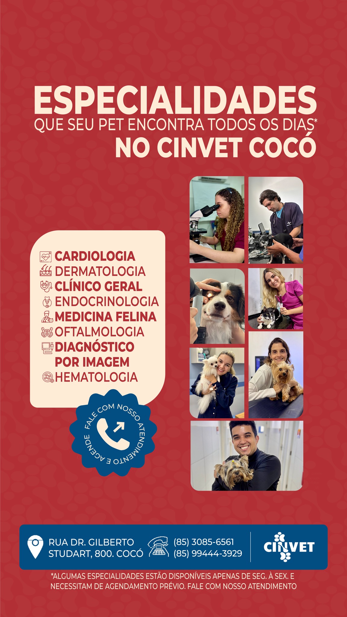 Prévia do Criativo 2
